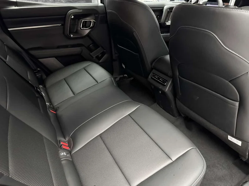 Haval Dagou PLUS New Energy — фото 5