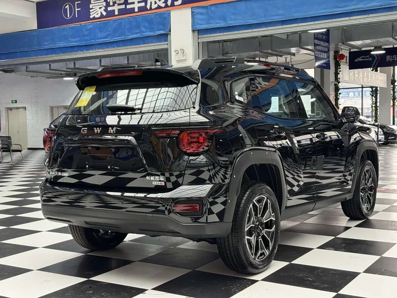 Haval Dagou PLUS New Energy — фото 7