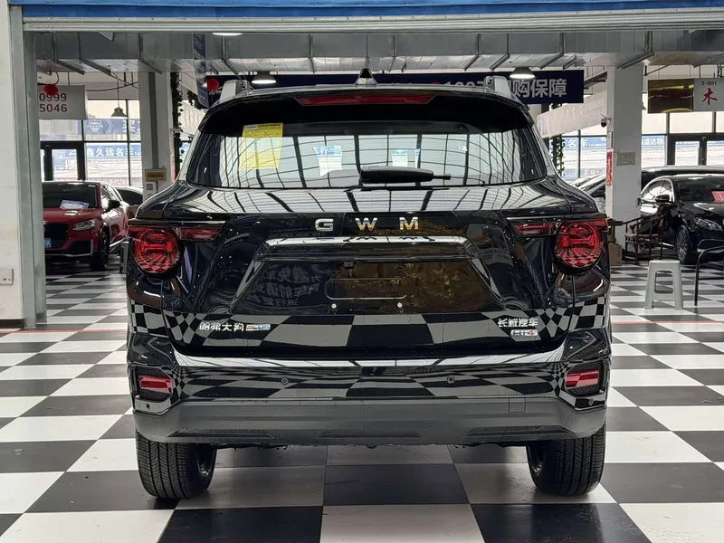 Haval Dagou PLUS New Energy — фото 8