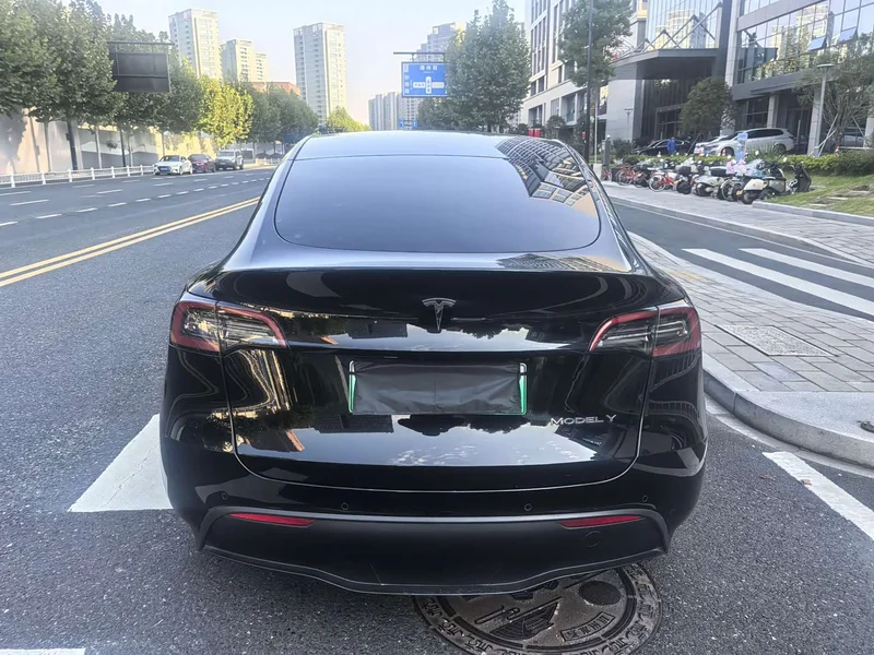 Tesla Model Y — фото 8