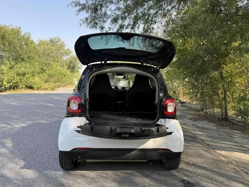 Smart Fortwo — фото 5