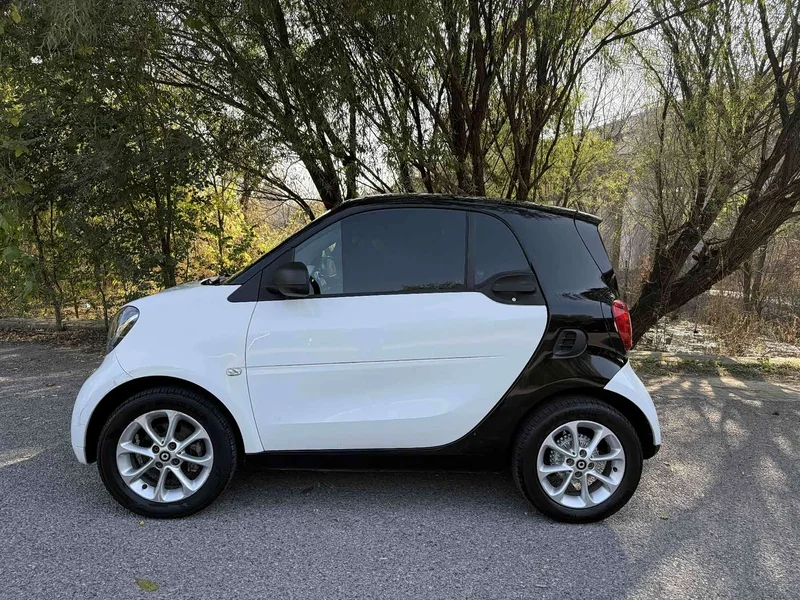 Smart Fortwo — фото 9