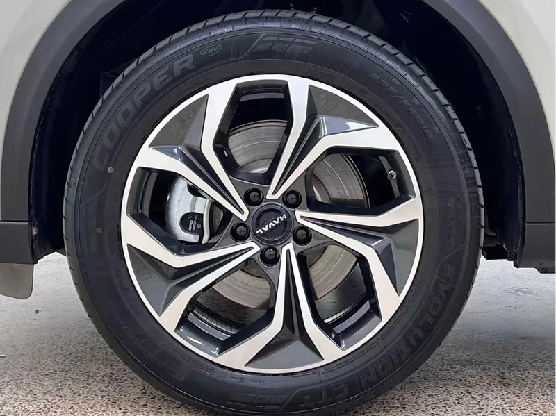 Haval Xiaolong MAX — фото 27
