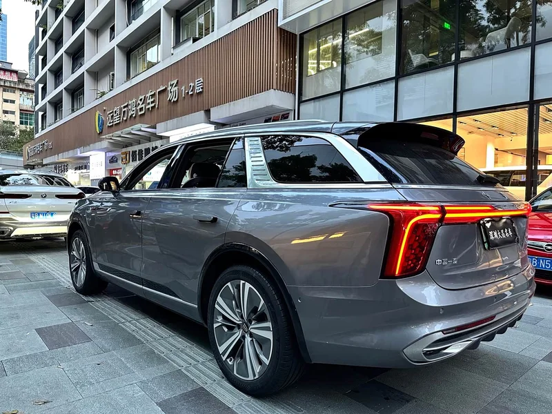 Hongqi E-HS9 — фото 4