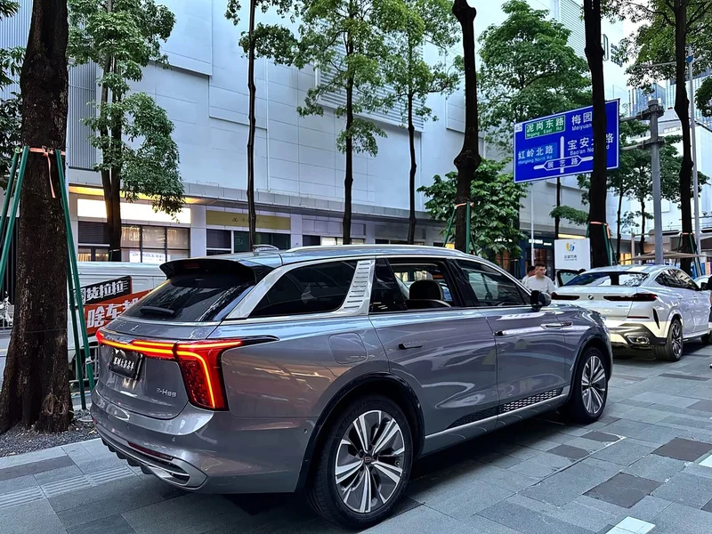 Hongqi E-HS9 — фото 5