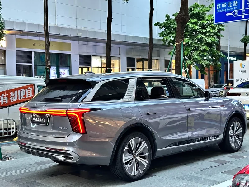 Hongqi E-HS9 — фото 7