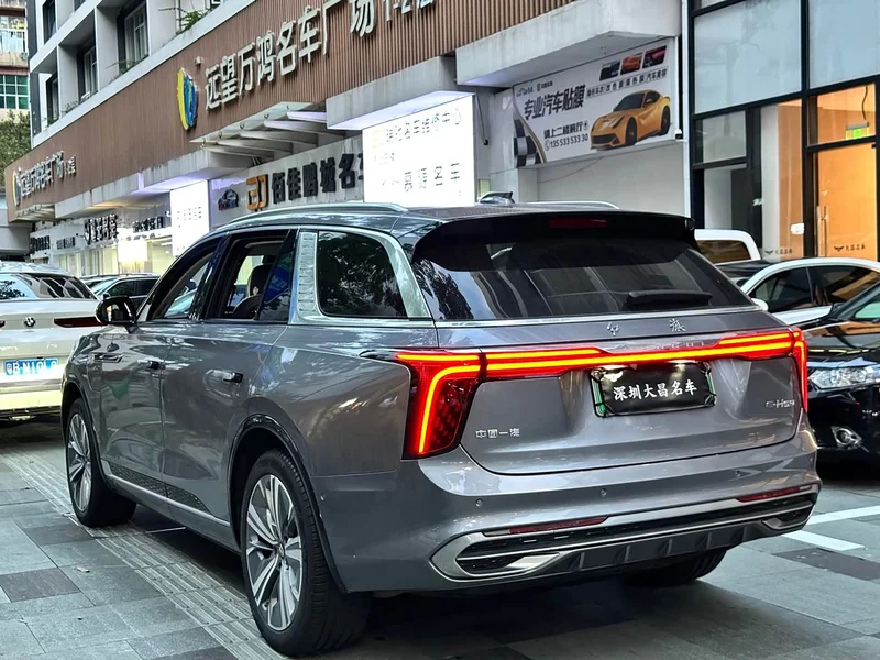 Hongqi E-HS9 — фото 8