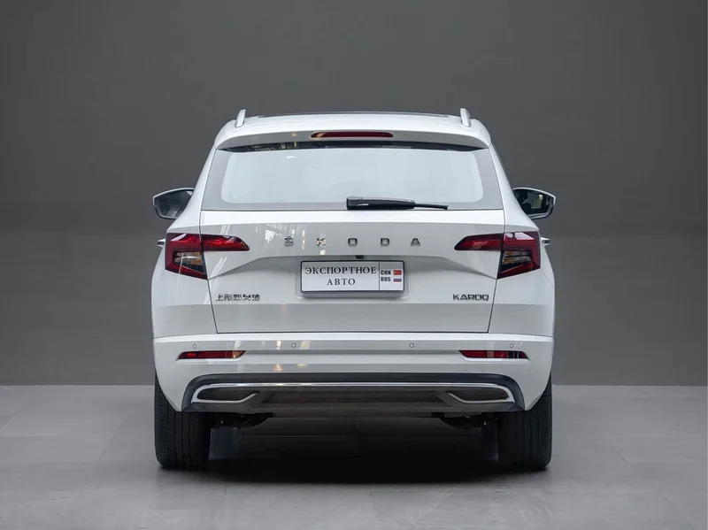 Skoda Karoq — фото 9
