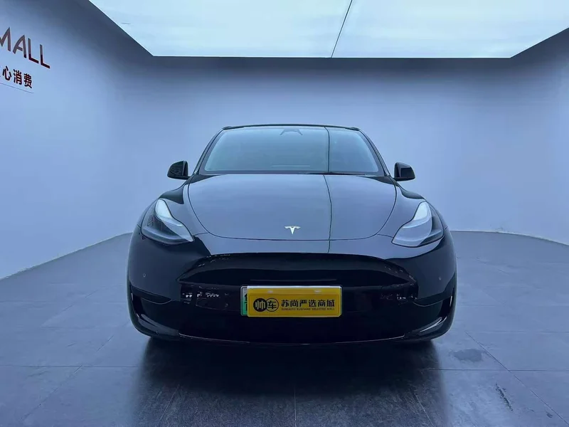 Tesla Model Y — фото 2