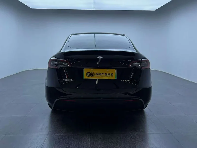 Tesla Model Y — фото 8