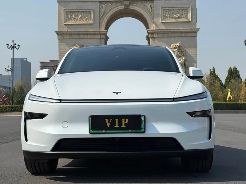 Tesla Model Y — фото 2