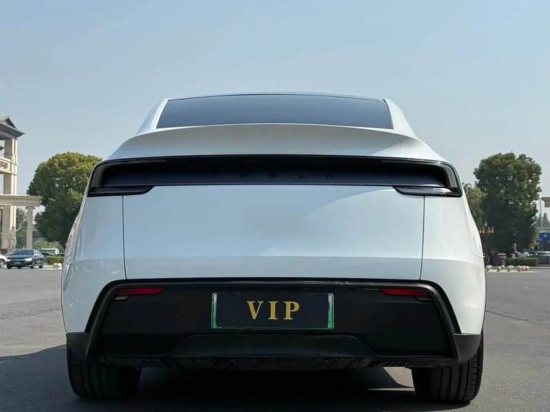 Tesla Model Y — фото 8