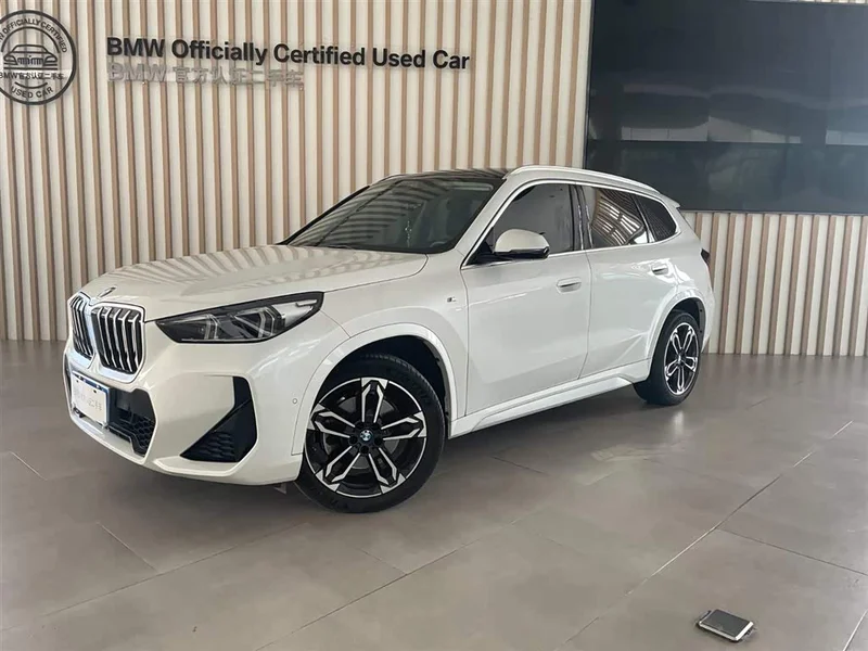 BMW X1 — фото 1
