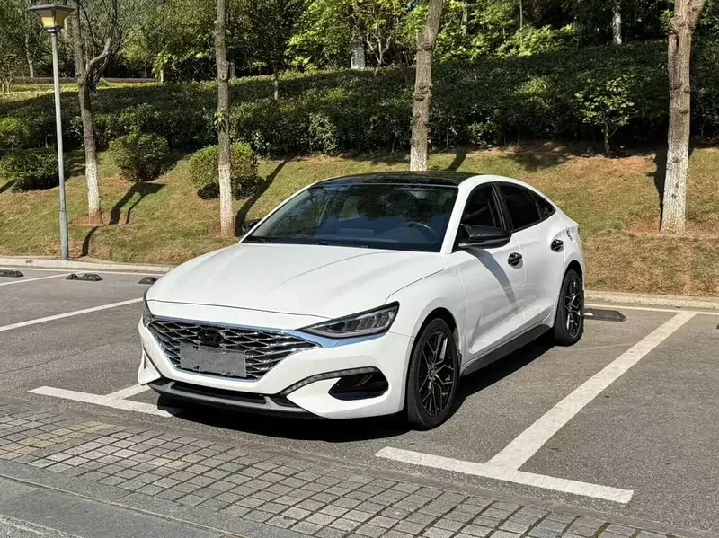 Hyundai Fista — фото 1