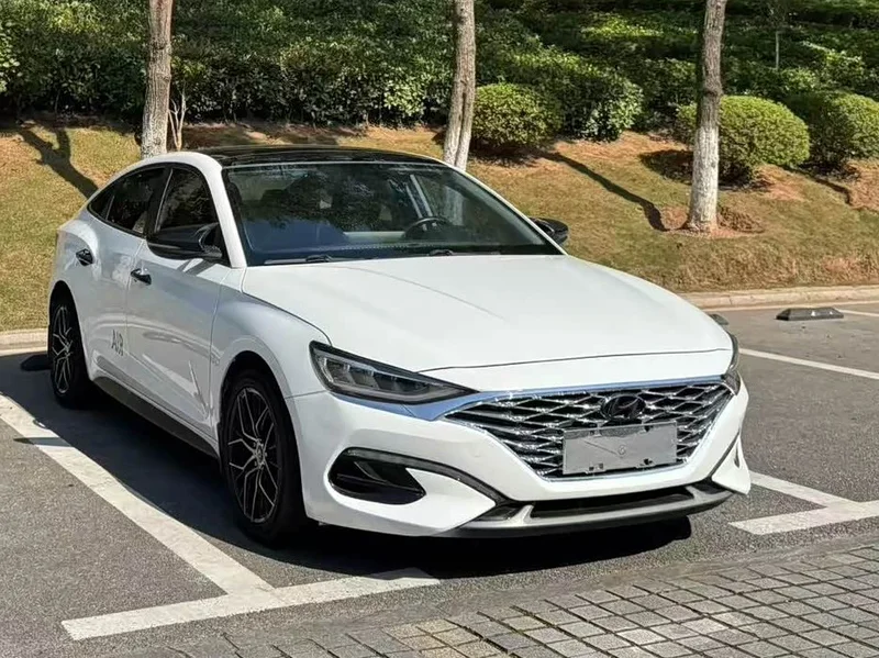 Hyundai Fista — фото 3