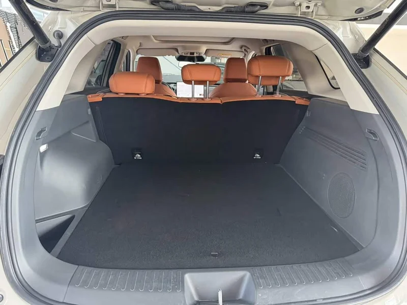 Haval Xiaolong MAX — фото 10