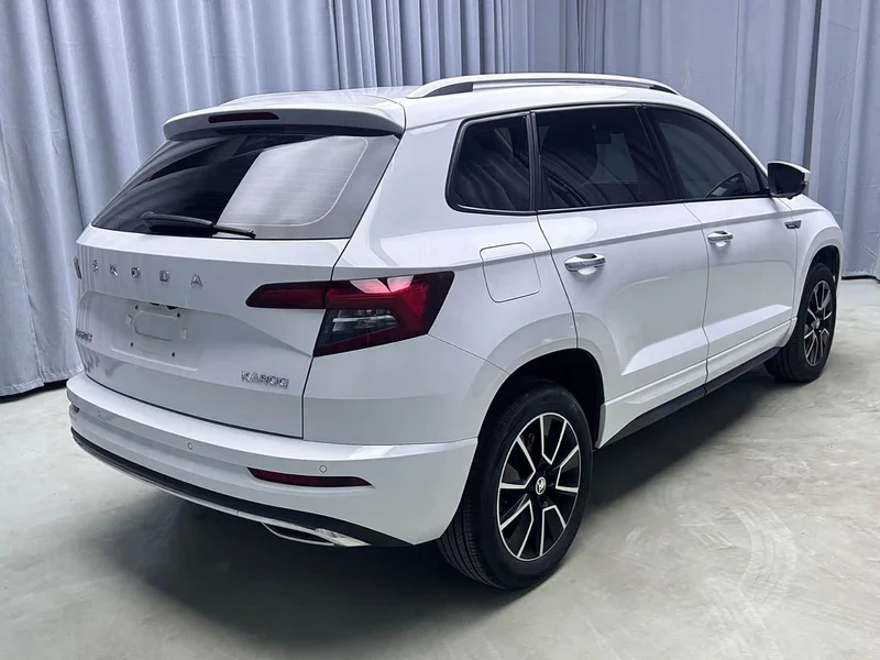 Skoda Karoq — фото 18