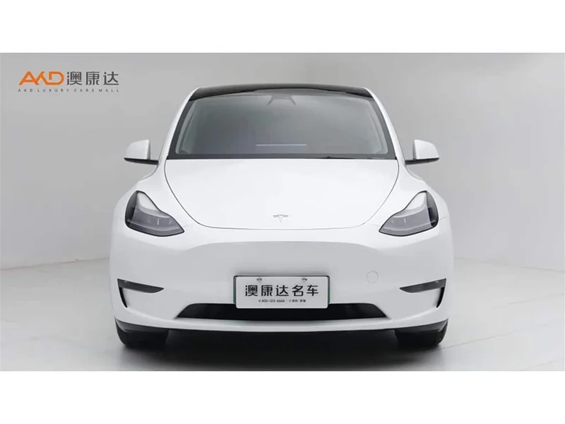 Tesla Model Y — фото 2