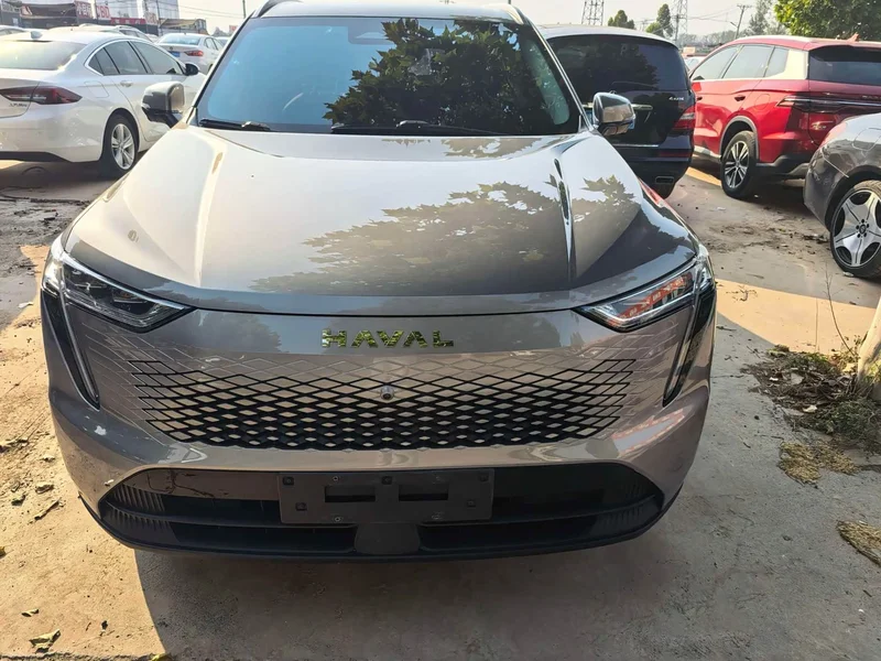 Haval Xiaolong MAX — фото 2