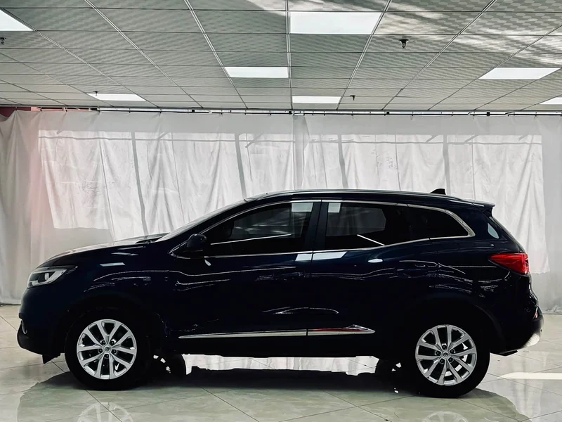 Renault Kadjar — фото 9