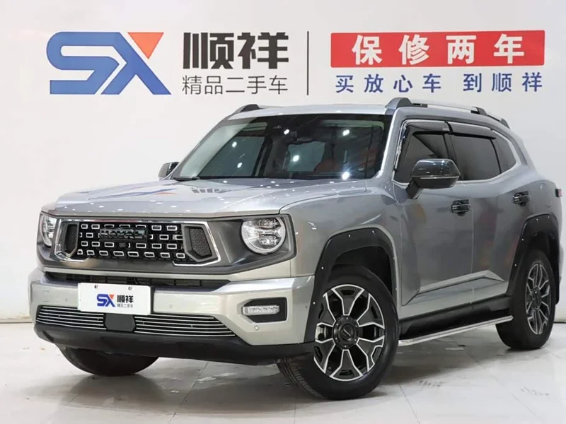 Haval Dagou PLUS New Energy — фото 1