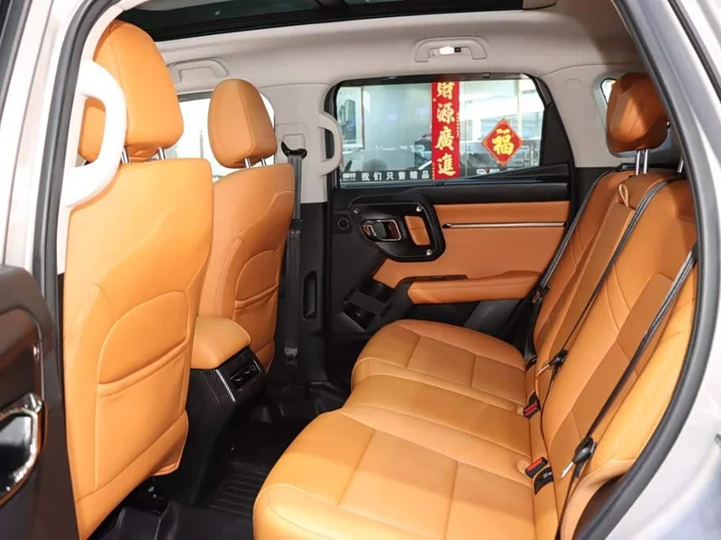 Haval Dagou PLUS New Energy — фото 11