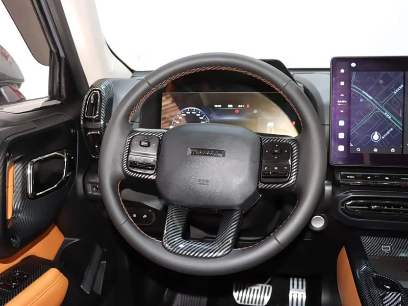 Haval Dagou PLUS New Energy — фото 13