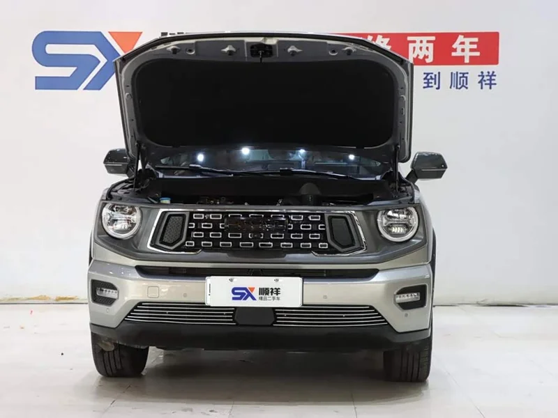 Haval Dagou PLUS New Energy — фото 18