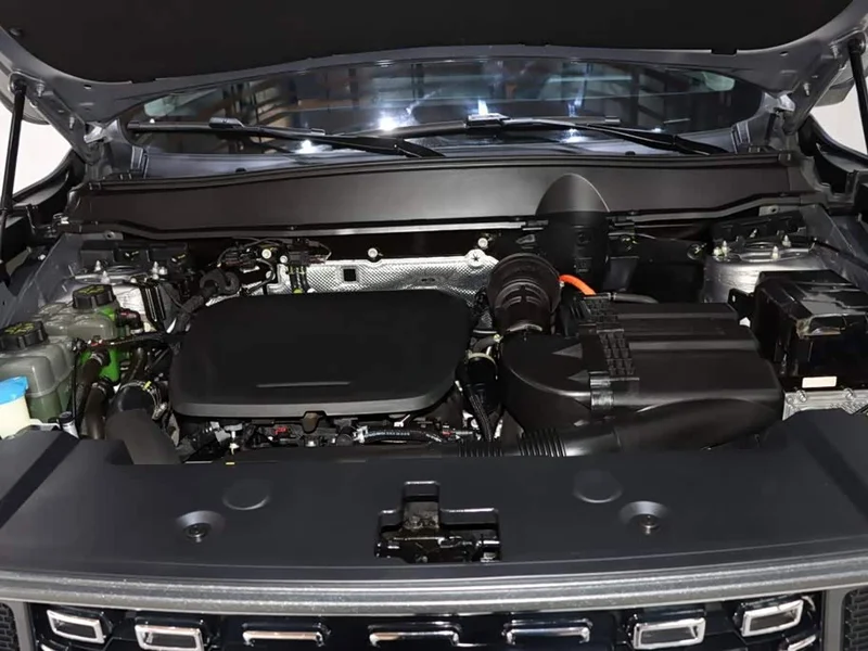 Haval Dagou PLUS New Energy — фото 19