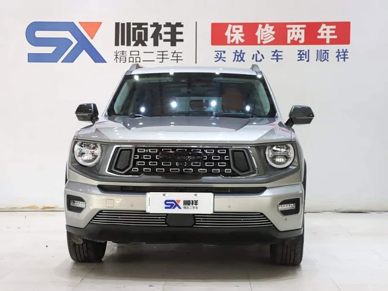Haval Dagou PLUS New Energy — фото 2