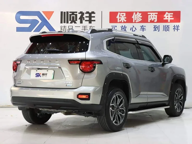 Haval Dagou PLUS New Energy — фото 4