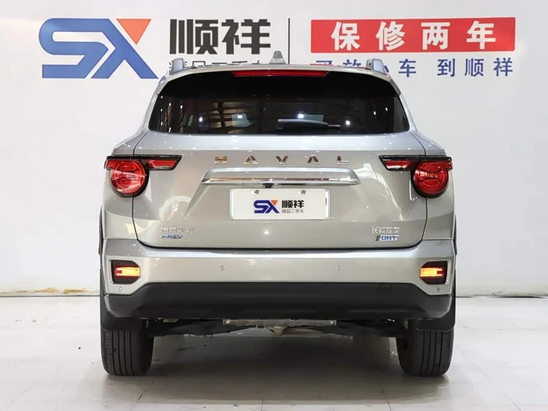 Haval Dagou PLUS New Energy — фото 5