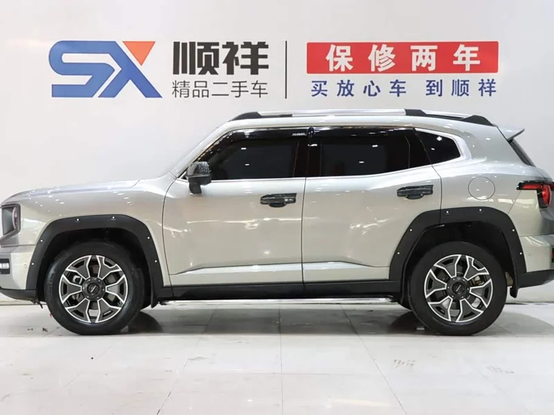 Haval Dagou PLUS New Energy — фото 6