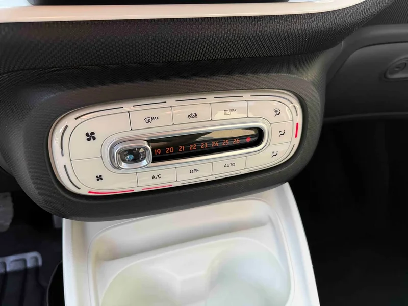Smart Forfour — фото 13