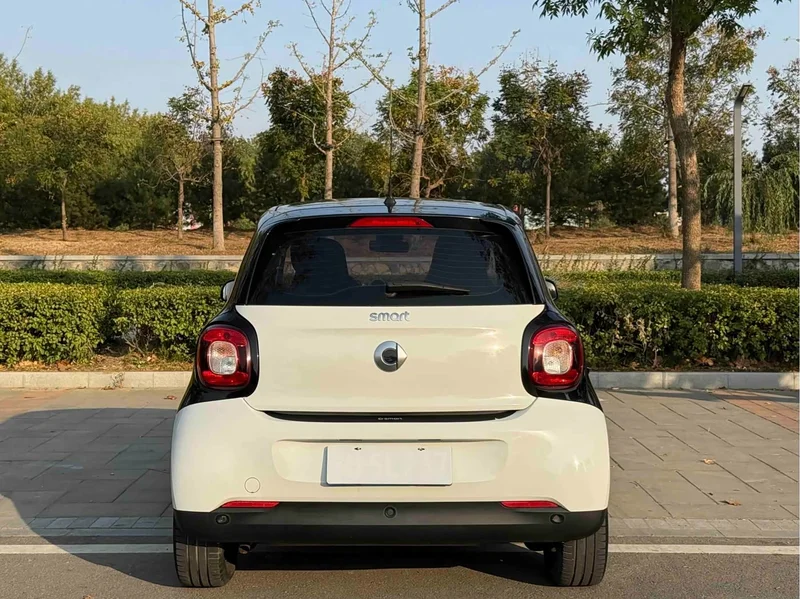 Smart Forfour — фото 18