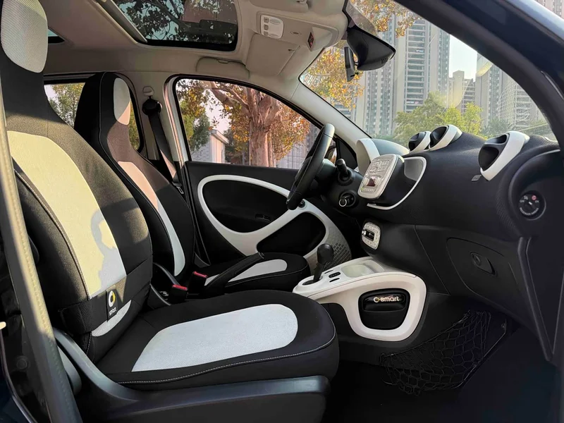 Smart Forfour — фото 9