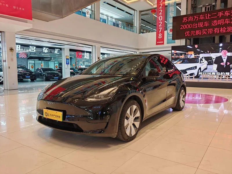 Tesla Model Y — фото 1