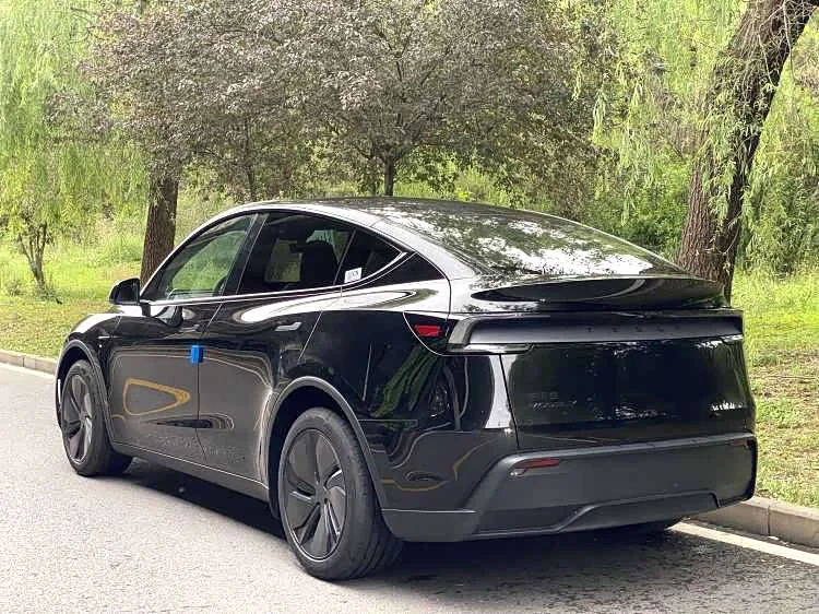 Tesla Model Y — фото 6
