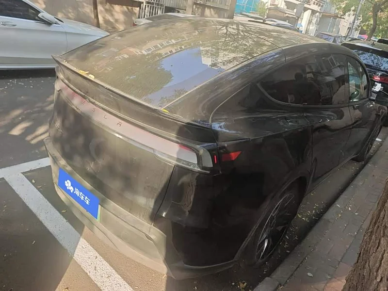 Tesla Model Y — фото 3