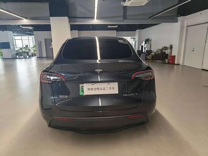 Tesla Model Y — фото 6