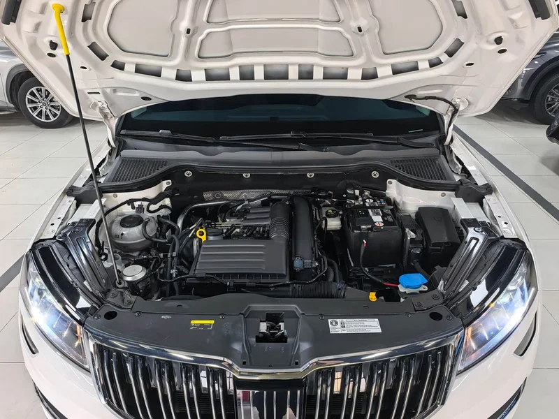 Skoda Karoq — фото 16