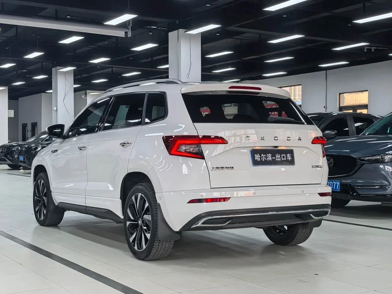 Skoda Karoq — фото 20