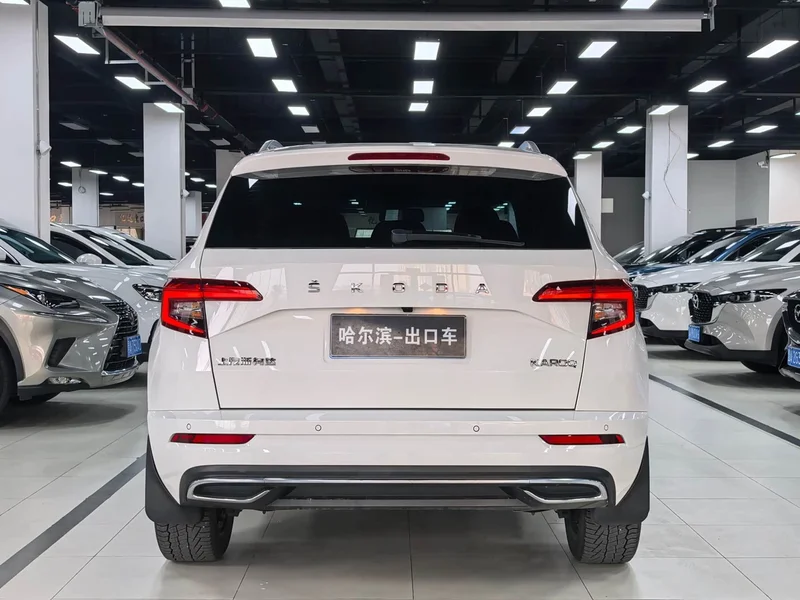 Skoda Karoq — фото 21