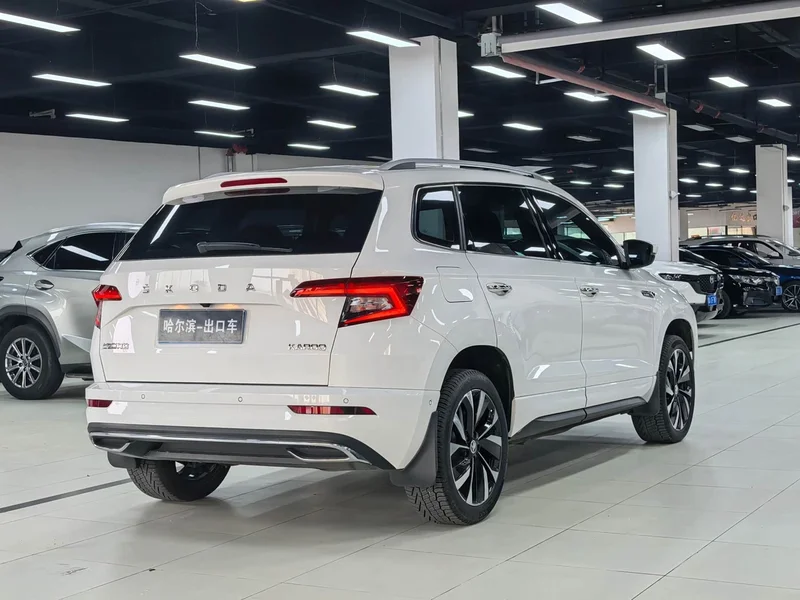 Skoda Karoq — фото 22
