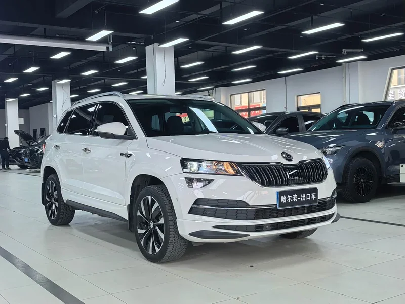 Skoda Karoq — фото 3