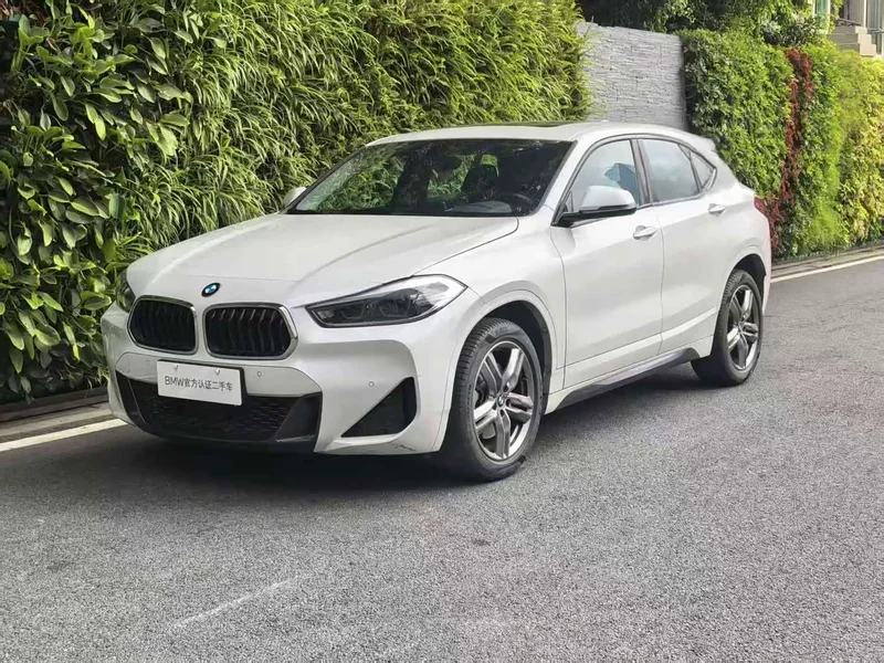 BMW X2 — фото 1
