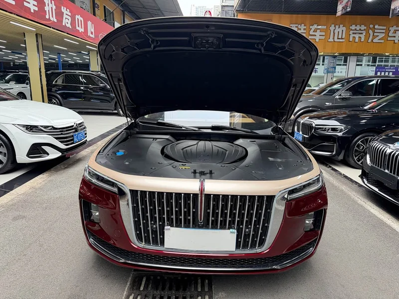 Hongqi H9 — фото 29