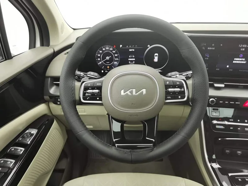Kia Carnival — фото 11