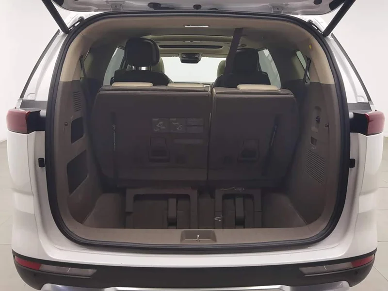 Kia Carnival — фото 16
