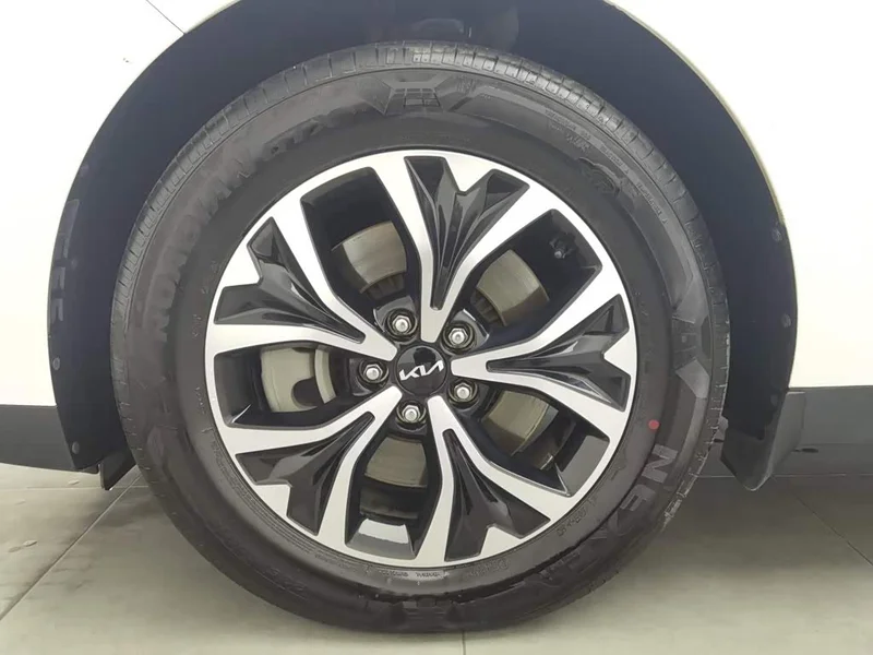 Kia Carnival — фото 17